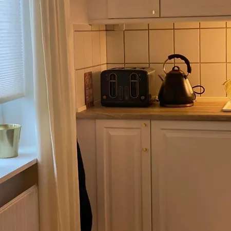 公寓 Luxury 1-bedroom With Parking Space Greve